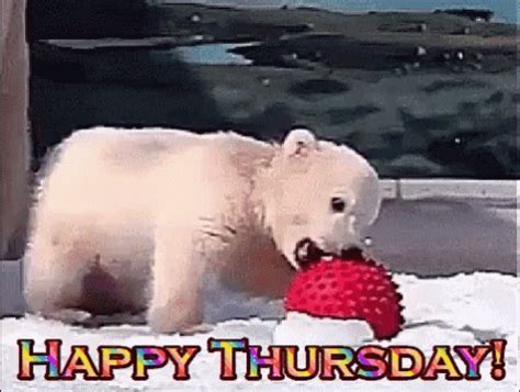 Happy Thursday Funny GIFs | GIFDB.com