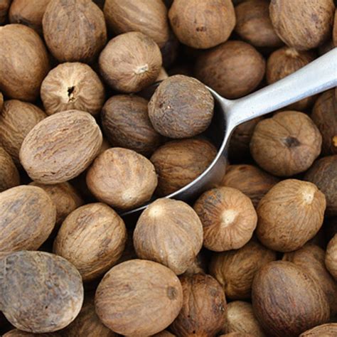 nutmeg  gms goodness farm