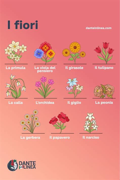 fiori italian vocabulary italian language italian language learning