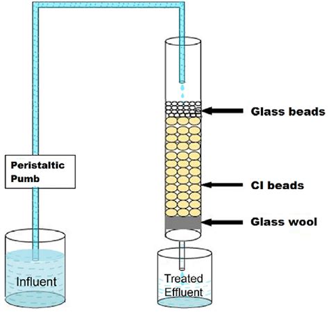 schematic representation  fixed bed column  scientific diagram