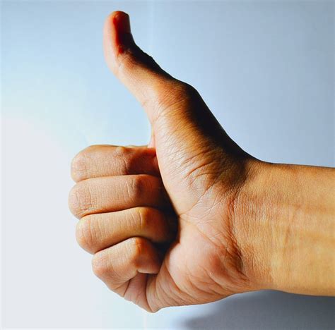 thumb    photo  pixabay