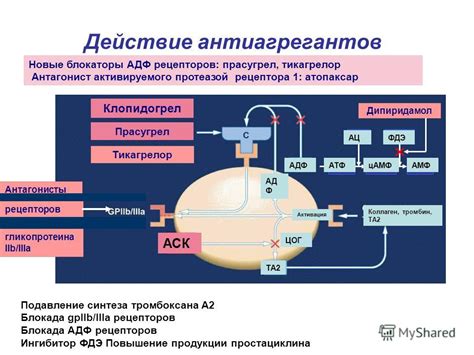 Препараты для разжижения крови и препятствующие тромбообразованию ...