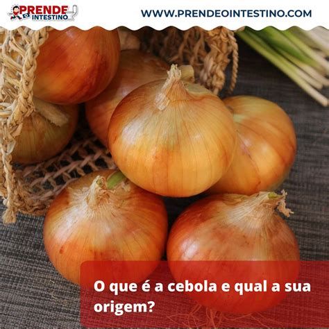 Como Se Escreve Cebola - Como a cebola combate envelhecimento precoce?