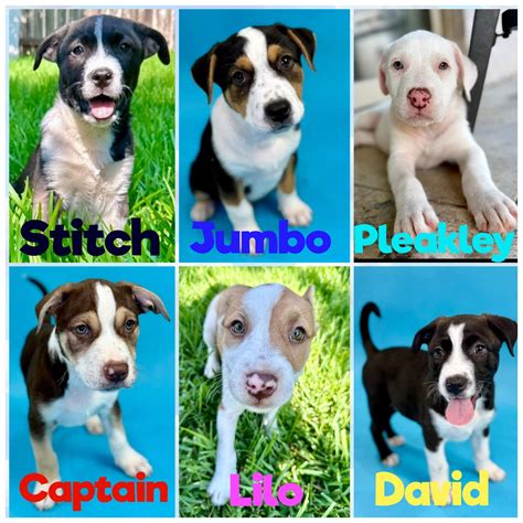 ABC13-Elita Loresca added a new photo. - ABC13-Elita Loresca