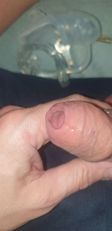 Dripping after an hour browsing reddit, while caged and with a finger