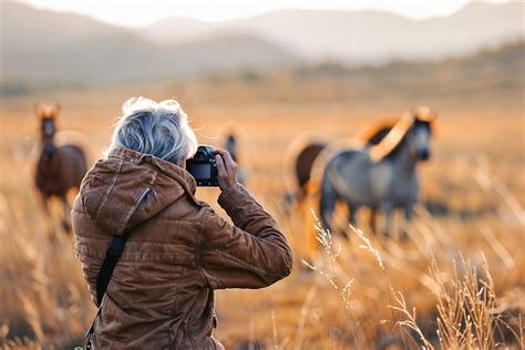 wildlife  nature photography careers