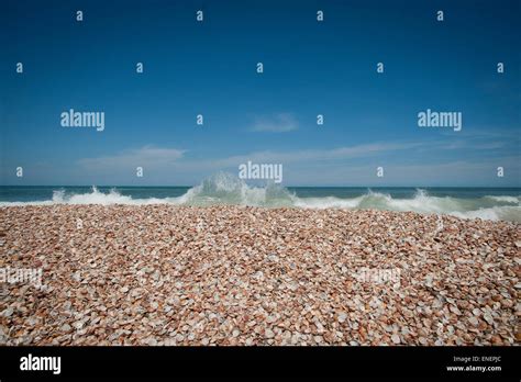 Gaza Strip Beach Stock Photos & Gaza Strip Beach Stock Images - Alamy