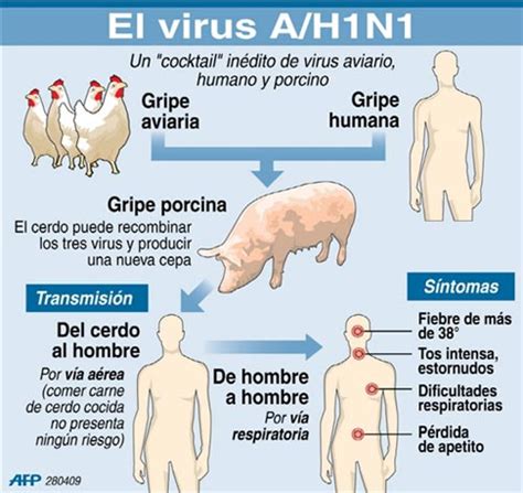 Gripe Suina O Que É - O que é a gripe suína? - Blog Vivendo Com Saúde