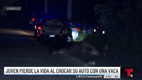 iba de camino al trabajo muere joven tras impactar vaca en luquillo