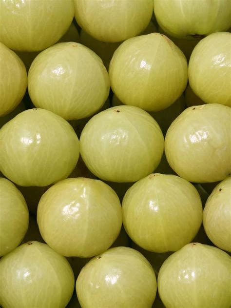 consume amla  indian express