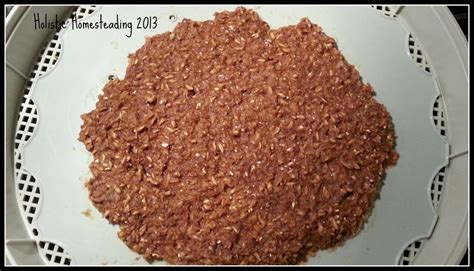 Holistic Homesteading: Sprouting Bread? Essene Bread Recipe | Essene ...