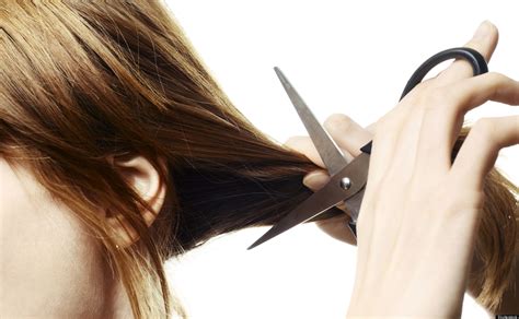 questions    hairstylist    hair cut spl