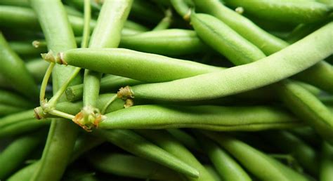 Beans – Huff Farm