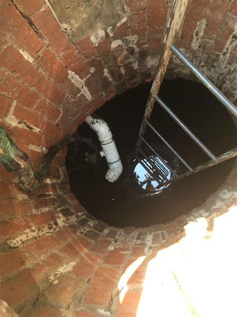 Discover The Hidden Potential Of Aqueduct Picks: Don't Miss Out! Image 13