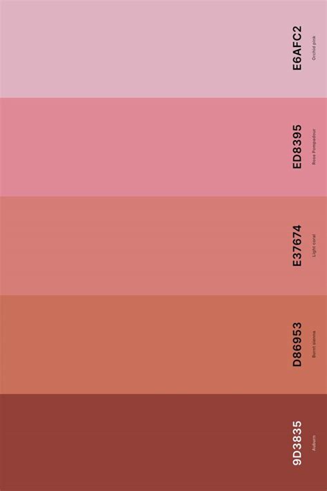 25+ Best Terracotta Color Palettes with Names and Hex Codes in 2024 ...