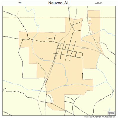 Nauvoo Alabama Street Map 0153400