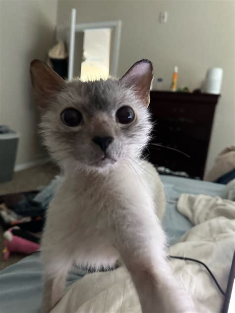 @stealingyourbones on Tumblr