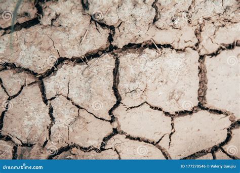 Cracked earth. drought stock photo. Image of broken - 177270546