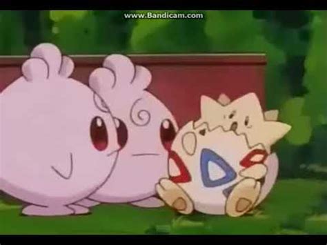 Togepi poked igglybuff 😁 - YouTube