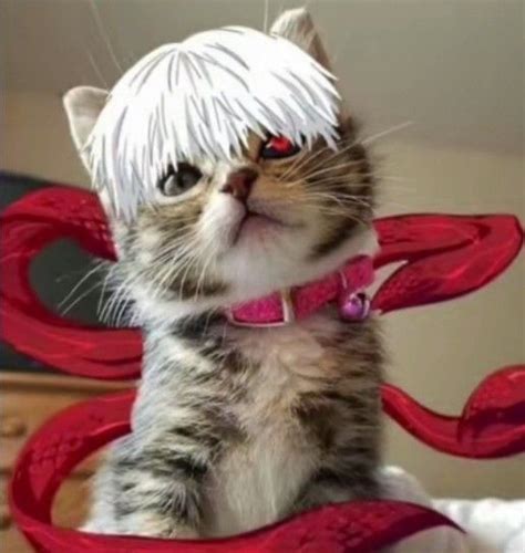 Tokyo Ghoul, Clown, Cats, Anime, Gmail, Quick, Style, Swag, Gatos