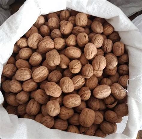 california walnut  rs kilogram jhunjhunu id