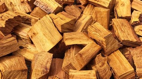 kayu nangka bisa digunakan ternyata  manfaat  kelebihannya
