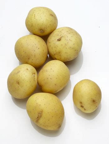 yukon gold natures produce