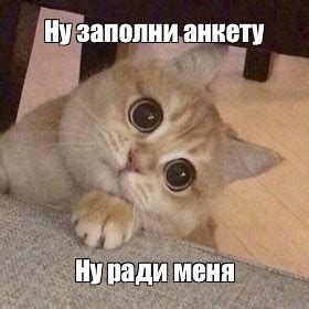 Мем: "Ну заполни анкету Ну ради меня" - Все шаблоны - Meme-arsenal.com