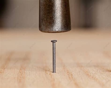 nail  hit  wood  hammer gray improvement tools photo
