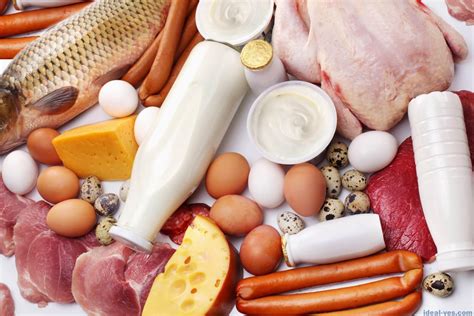 Продукты с высоким содержанием белка