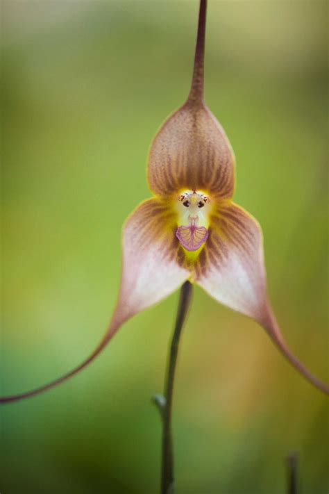 Weird News: Strange Occurrences and Unusual Headlines Today 8