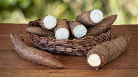 Cassava Images