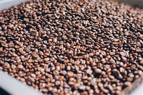 Coffee Beans Closeup Photography · Free Stock Photo