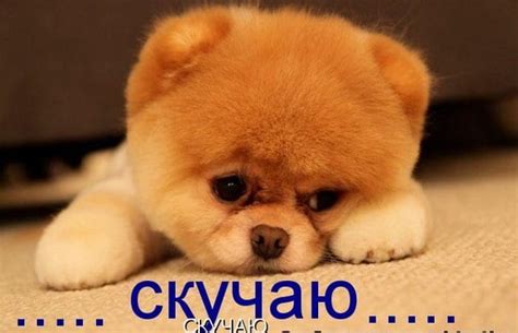 Скучаю - прикольные картинки (20+ фото) • Лучшие картинки