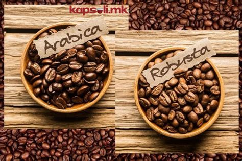 Арабика или Робуста: во што е разликата? - AMARO