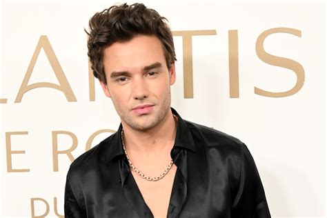 Liam Payne Photoshoot 2024 Fabulous