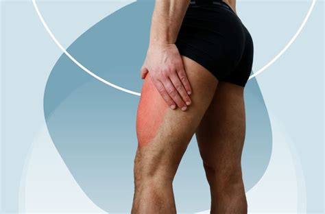 7 Common Causes Of Thigh Pain: Complete Guide • Dumb Little Man