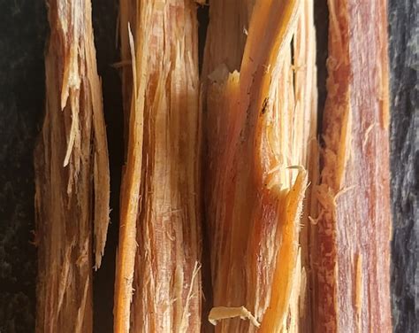 Ocote~ Fresh Prime Quality Natural Fire Starter Wood~from Puebla ...