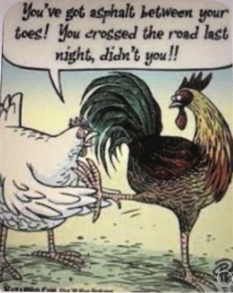 Pin by Maryannvarney on CARTOONS | Chicken humor, Chicken jokes, Chickens