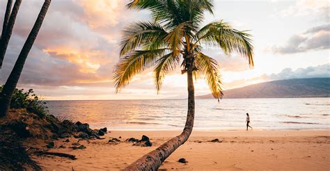 choosing  maui beach     ama travel