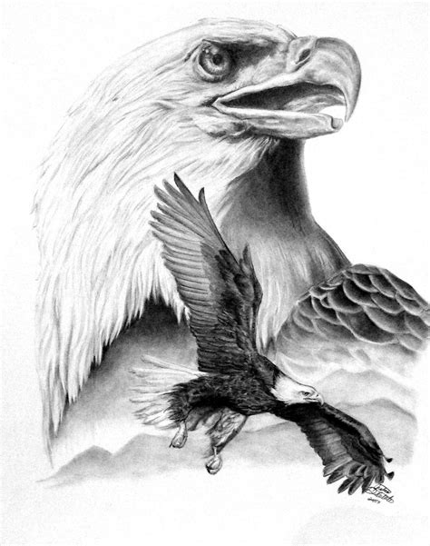Eagle Sketch Drawing at PaintingValley.com | Explore collection of