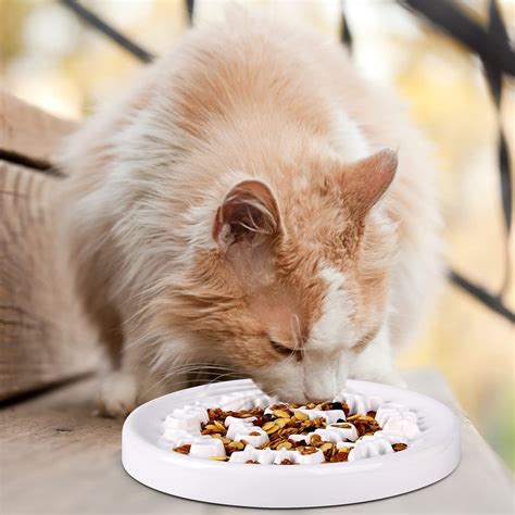 Slow Feeder Cat Bowl Slow Feed, Ceramic Cat Puzzle... – Grandado