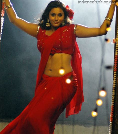 namitha navel  saree