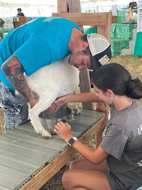 Ocean County Fair | Bayville NJ