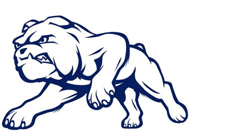 Western Bulldogs | Canyon Brand