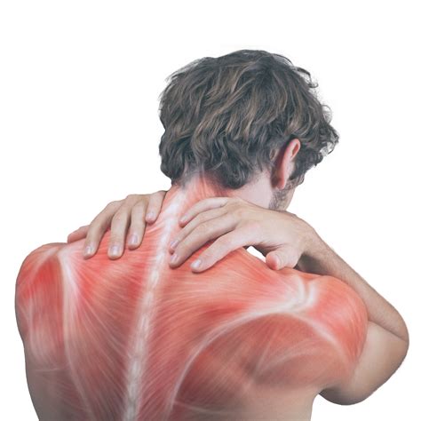 How to Self-Massage Trapezius Muscle to Relieve Neck & Shoulder Pain