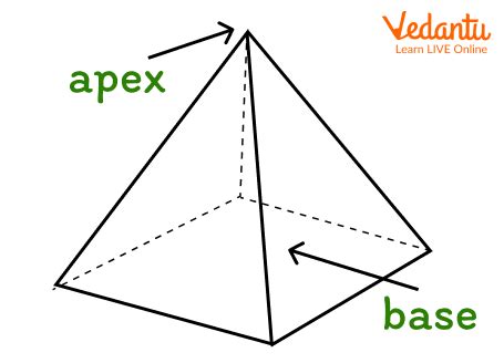 base   shape learn definition facts examples