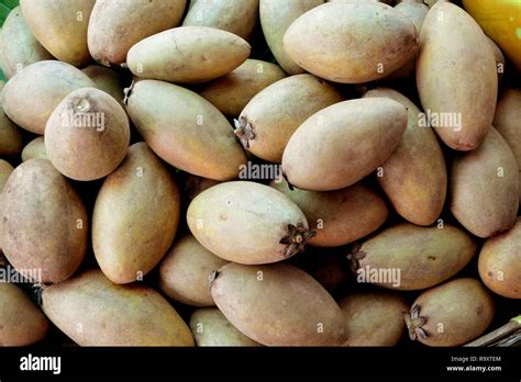 fresh sapodilla fruits Stock Photo - Alamy