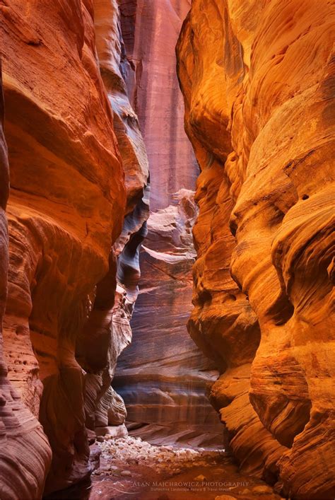 Buckskin Gulch Paria Canyon-Vermilion Cliffs Wilderness - Alan ...