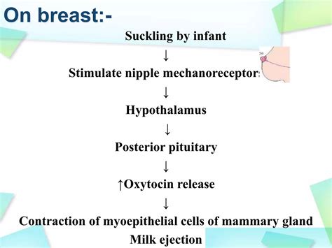 Drugs action on uterus | PPTX